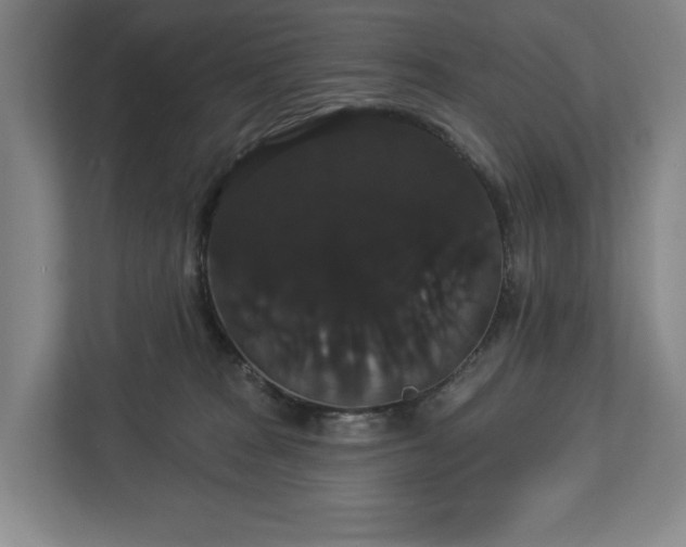 X0000113060277200909041044
