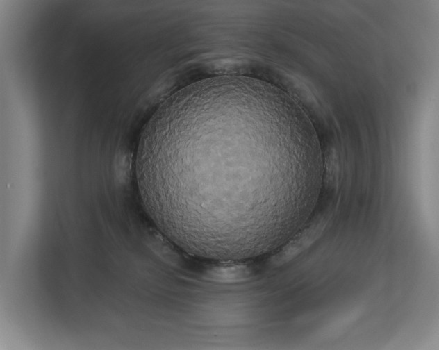 X0000113060278200909041044