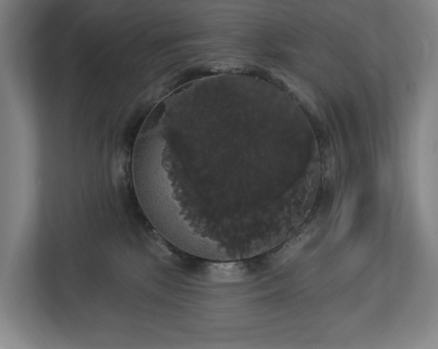 X0000113060281200909041044