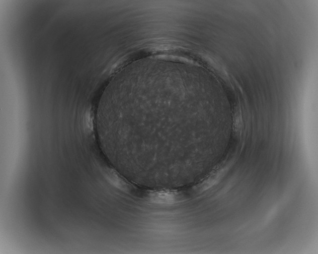 X0000113060282200909041044