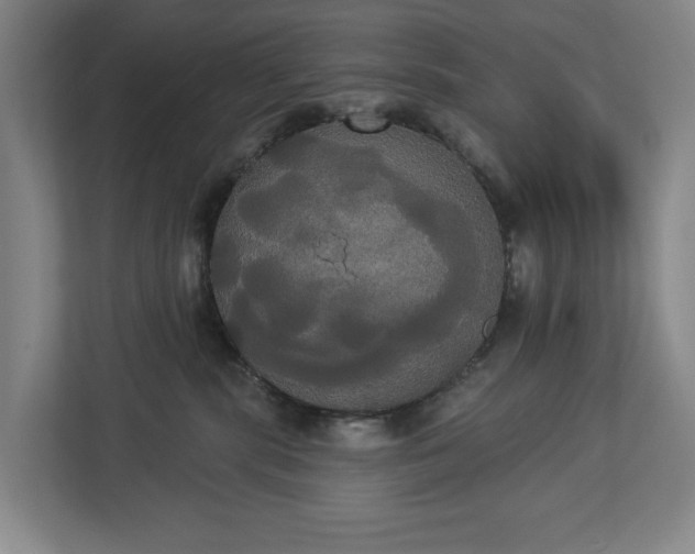 X0000113060283200909041044