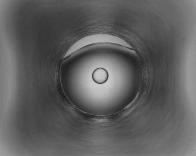 X0000113060284200909041044