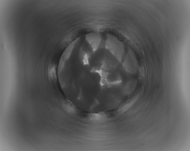 X0000113060286200909041044