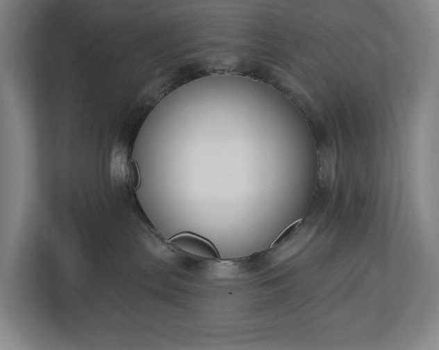 X0000113060287200909041044