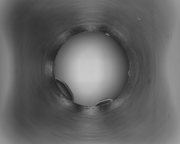 X0000113060288200909041044