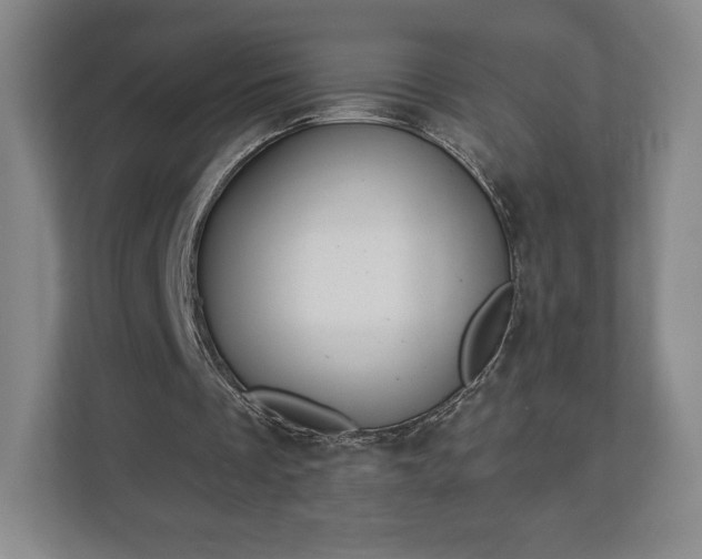 X0000113060289200909041043