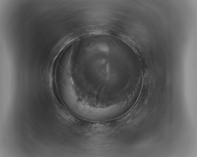 X0000113060290200909041043