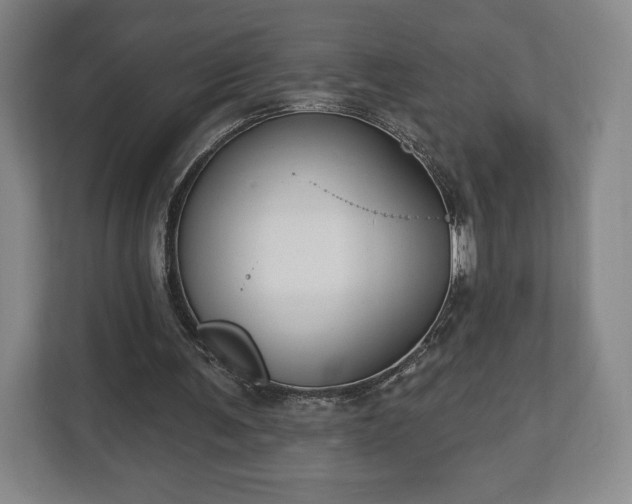 X0000113060291200909041043