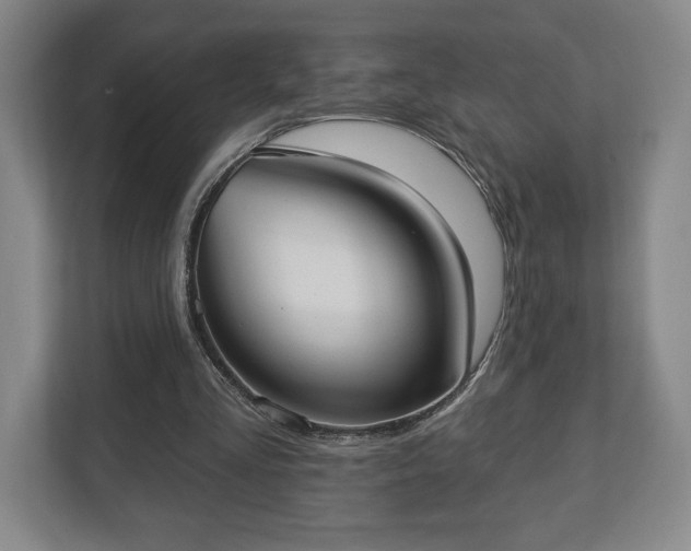 X0000113060293200909041043