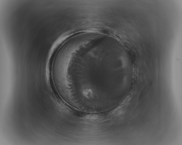 X0000113060294200909041043