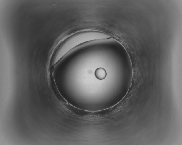 X0000113060296200909041043