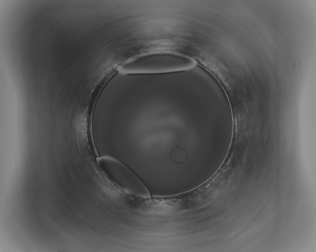 X0000113060297200909041043