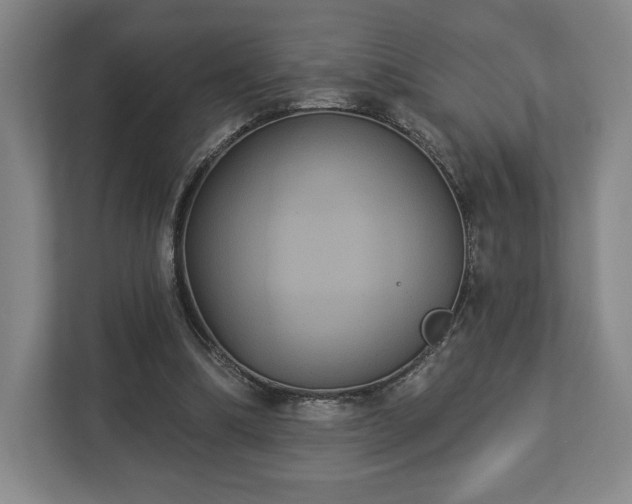 X0000113060298200909041043