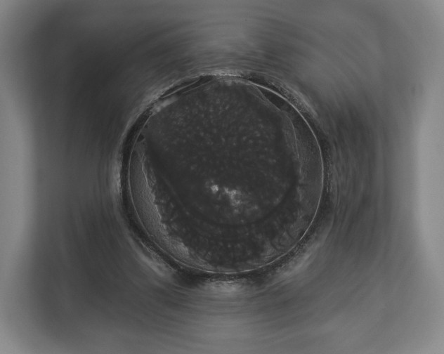 X0000113060299200909041043