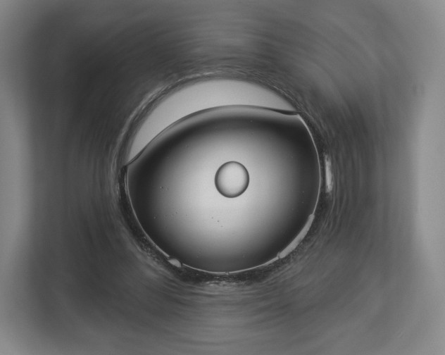 X0000113060300200909041043