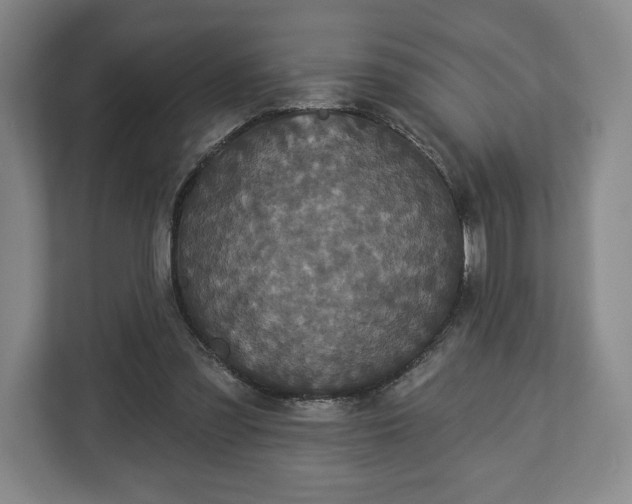 X0000113060301200909041043