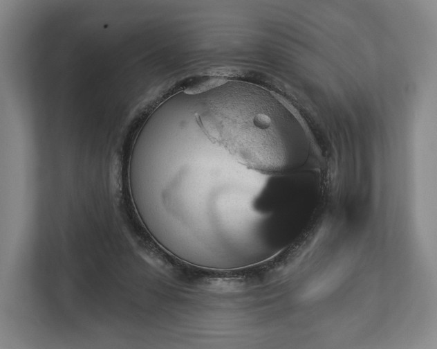 X0000113060303200909041043