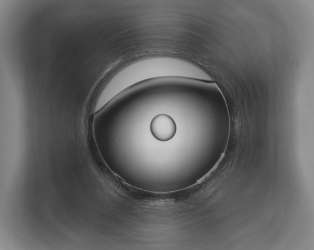 X0000113060304200909041043