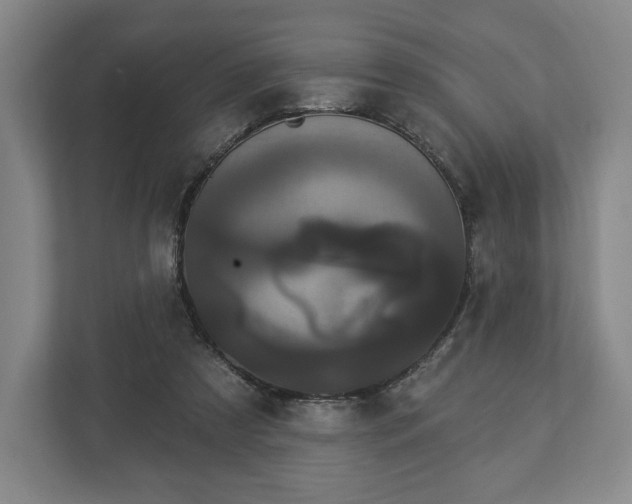 X0000113060305200909041043