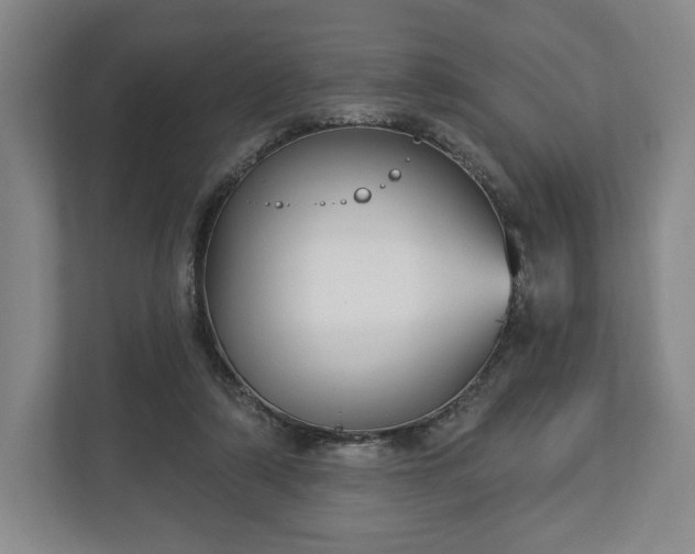 X0000113060306200909041043