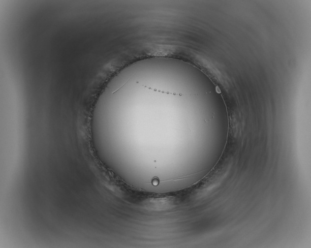 X0000113060307200909041043