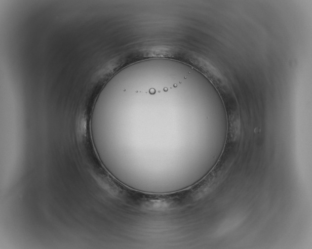 X0000113060310200909041043