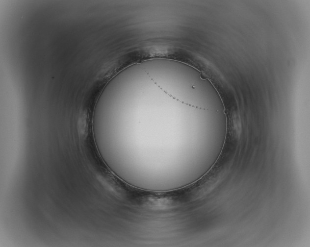 X0000113060311200909041043