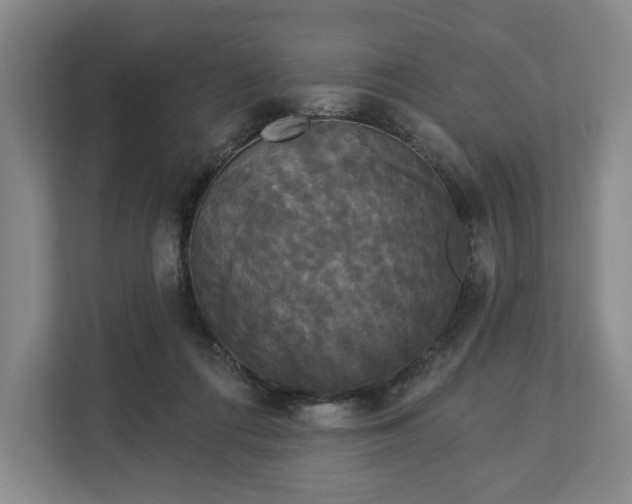 X0000113060312200909041043