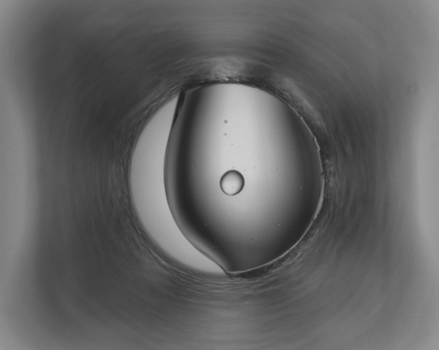 X0000113060313200909041043