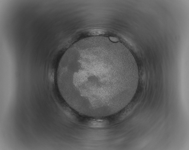 X0000113060315200909041043