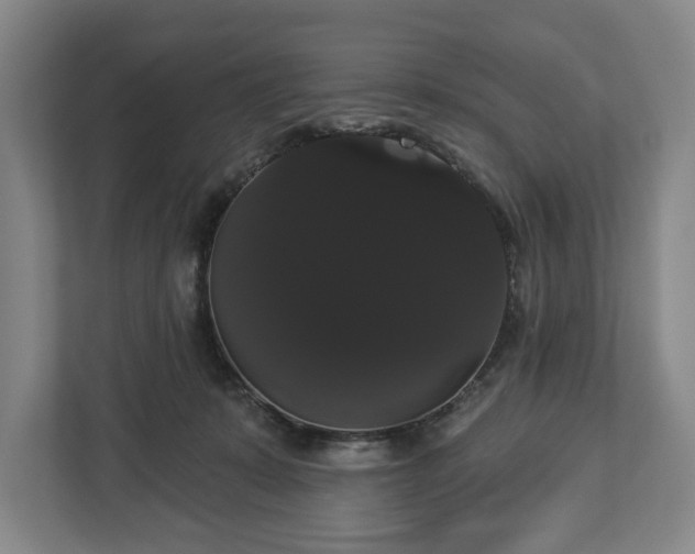 X0000113060319200909041043
