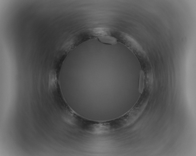 X0000113060320200909041043