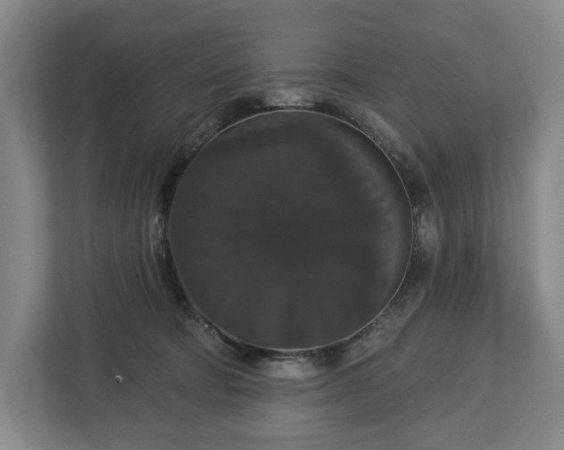 X0000113060322200909041043