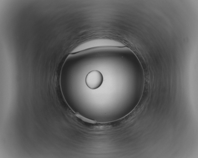 X0000113060323200909041043