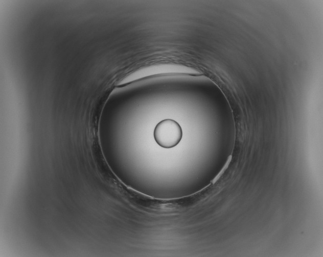 X0000113060324200909041043