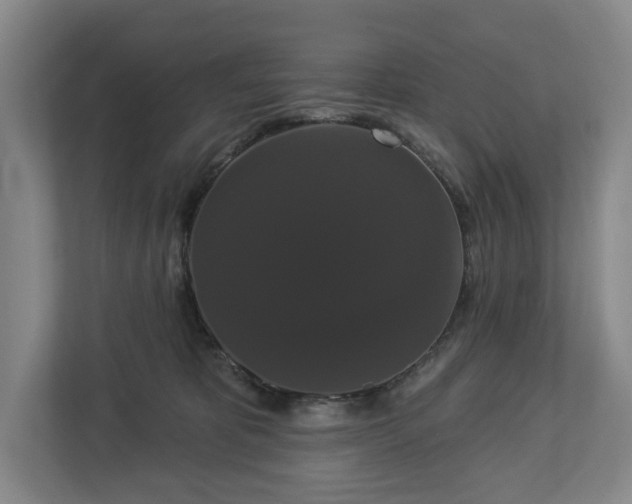 X0000113060325200909041043