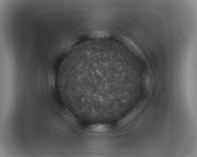 X0000113060326200909041043