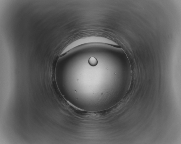 X0000113060328200909041043