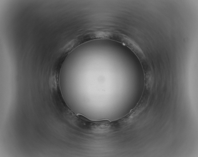 X0000113060329200909041043