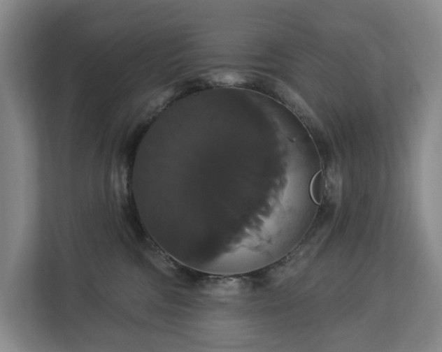 X0000113060330200909041043