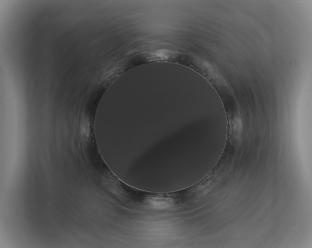 X0000113060331200909041043