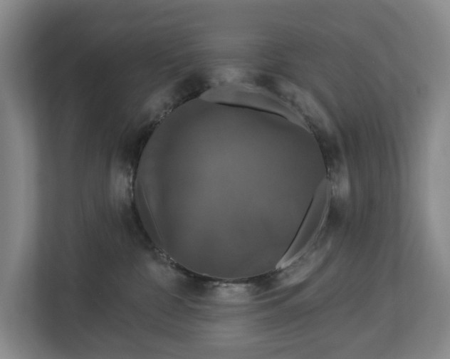 X0000113060332200909041043