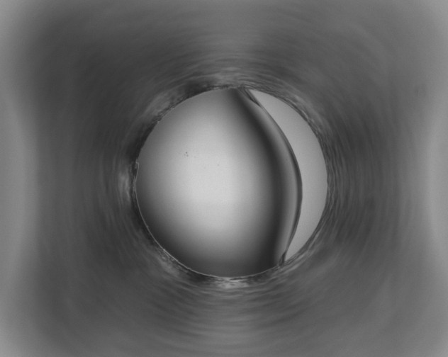 X0000113060333200909041043