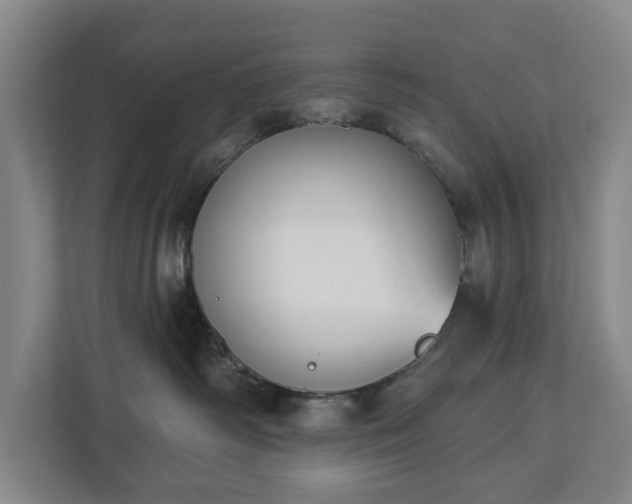 X0000113060334200909041043