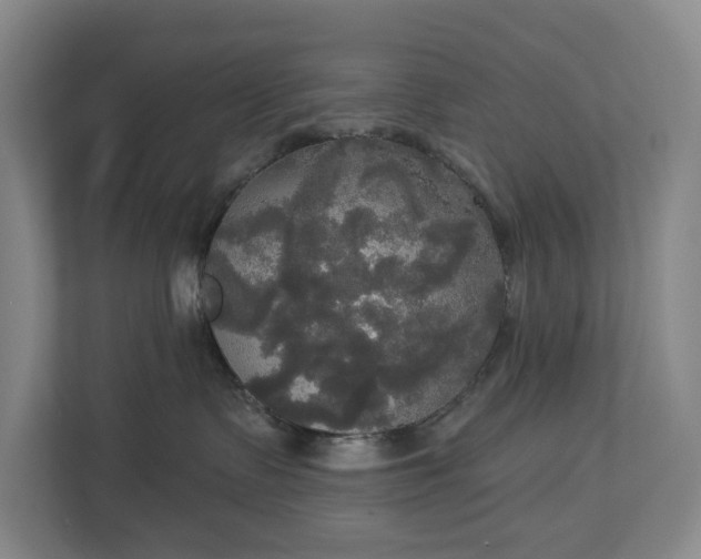 X0000113060335200909041043