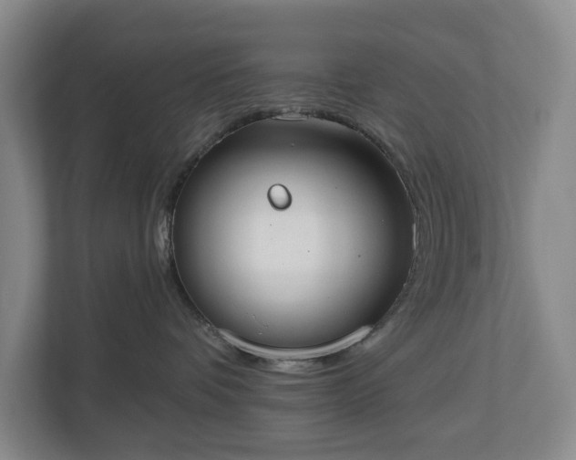 X0000113060336200909041043