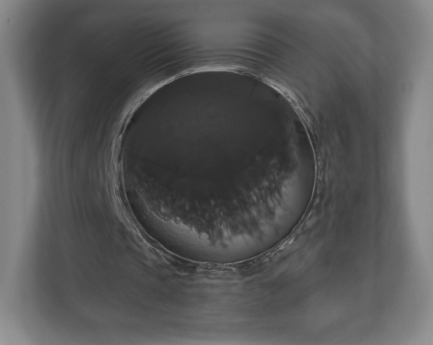 X0000113060337200909041042