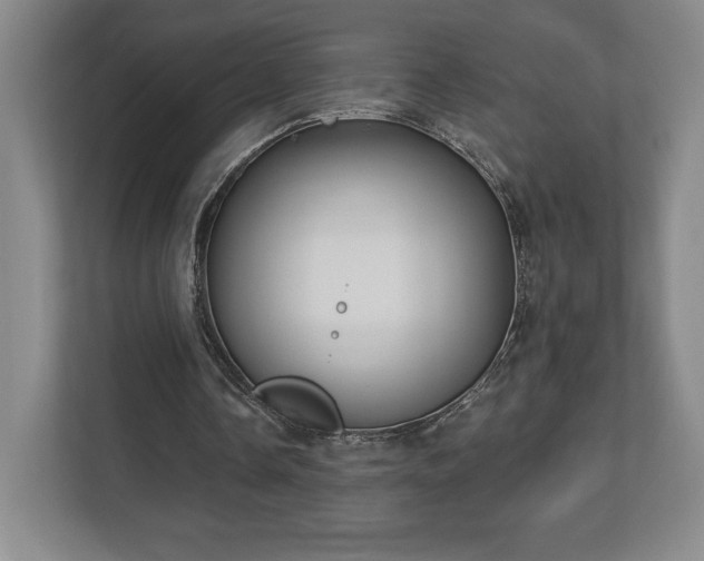 X0000113060338200909041042