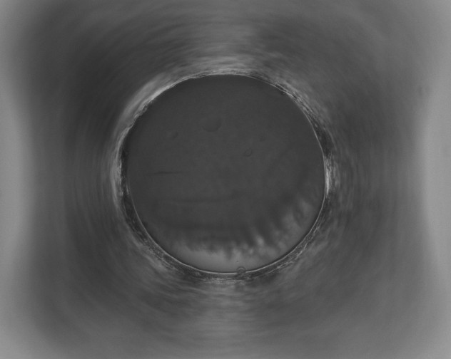 X0000113060339200909041042
