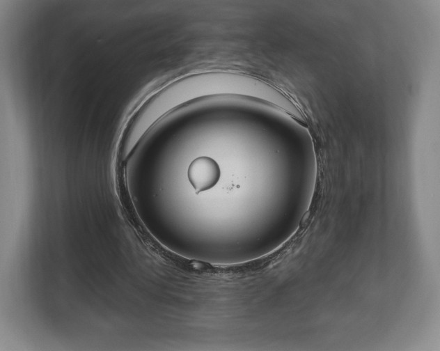 X0000113060340200909041042